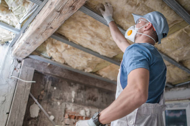 Best Residential Insulation in North Druid Hills, GA