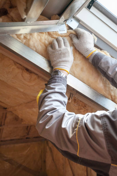 Best Specialized Insulation Services in North Druid Hills, GA