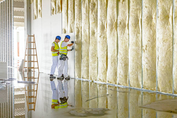  North Druid Hills, GA Insulation Contractor Pros